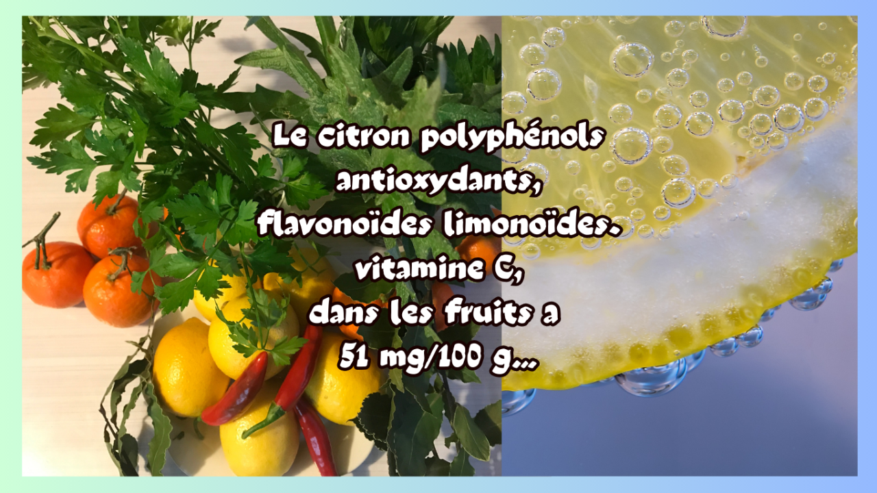 Le Citron polyphénol et vitamine