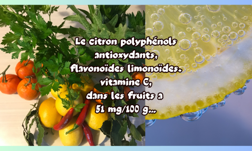 Le Citron polyphénol et vitamine