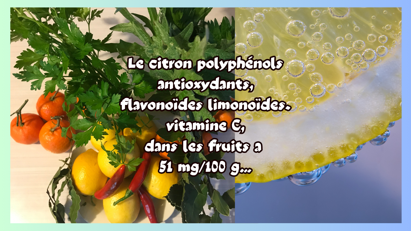 You are currently viewing Le Citron polyphénol et vitamine