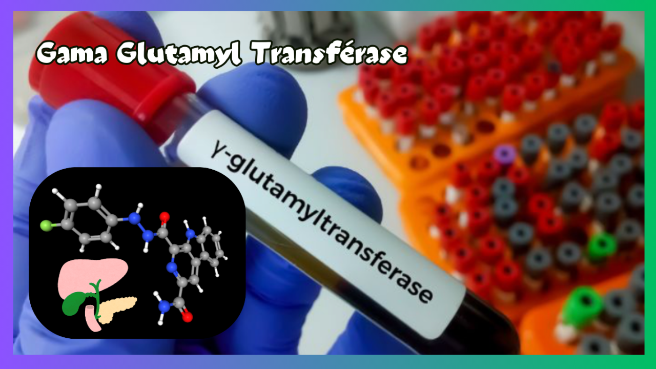 Gama Glutamyl Transpeptidase