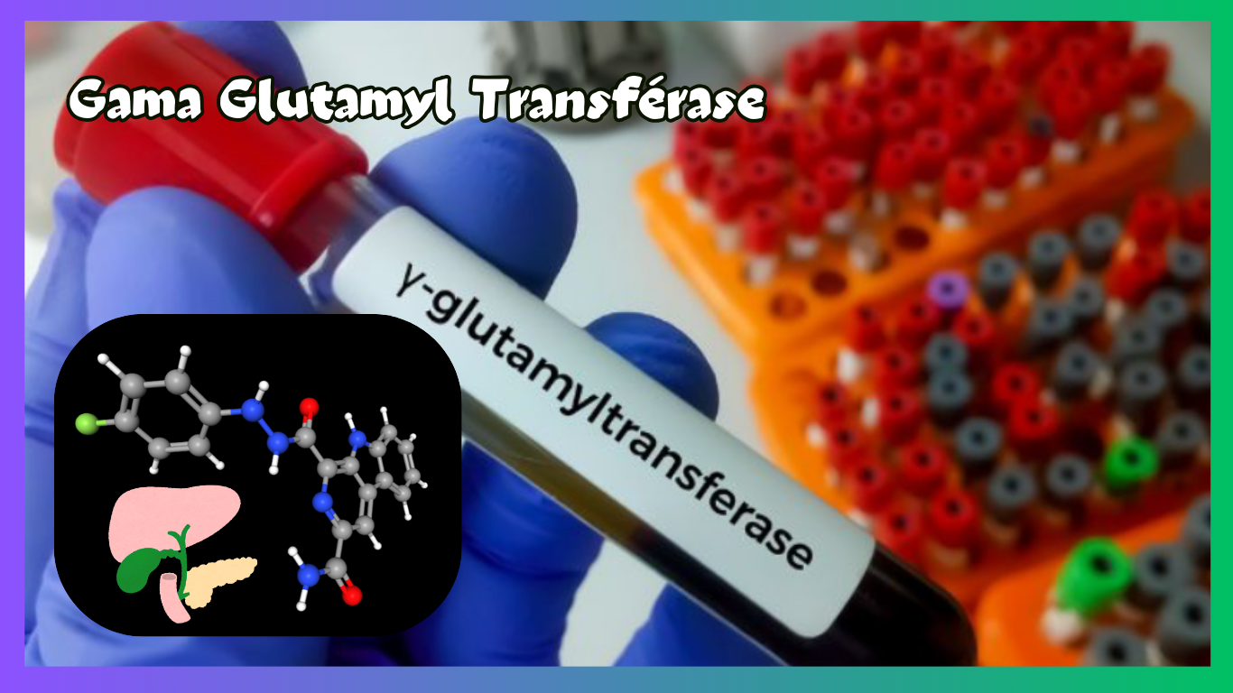 You are currently viewing Gama Glutamyl Transpeptidase