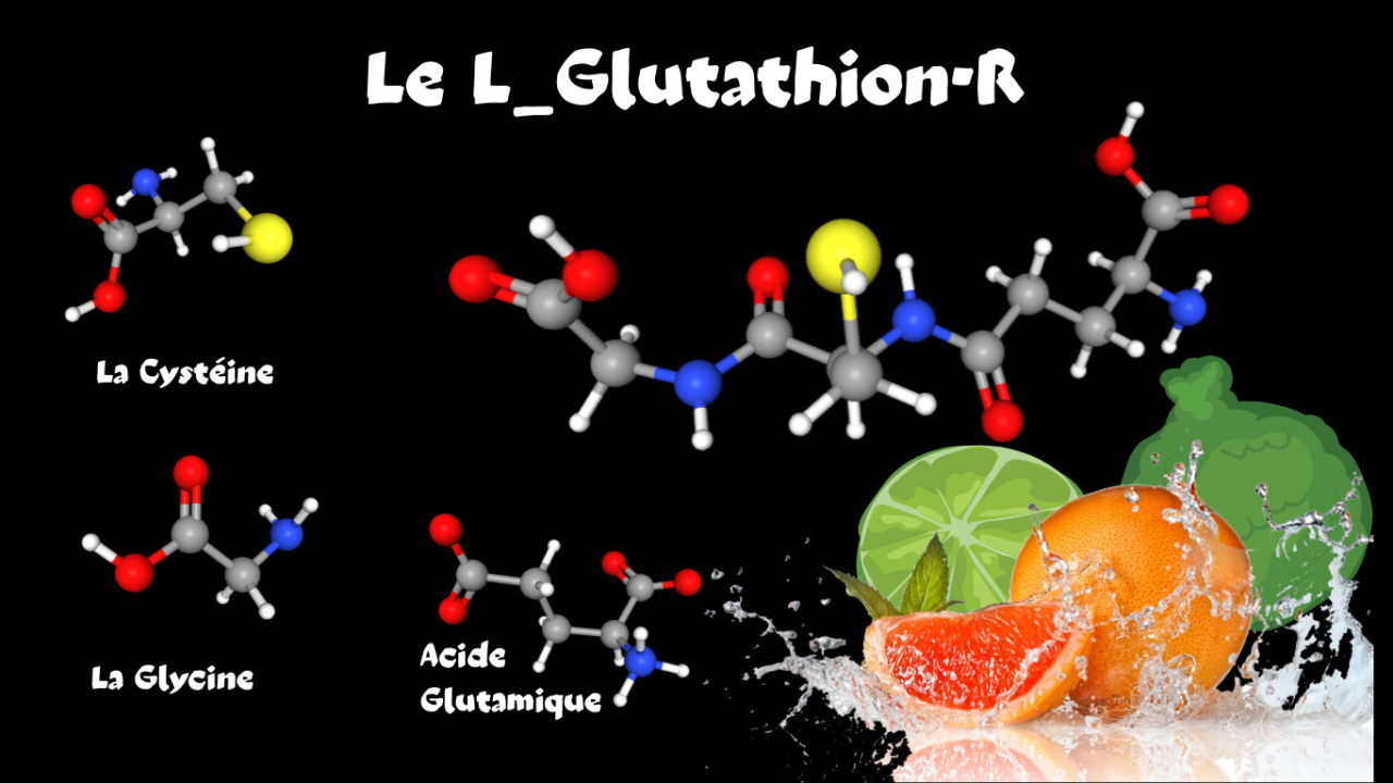 Le Glutathion