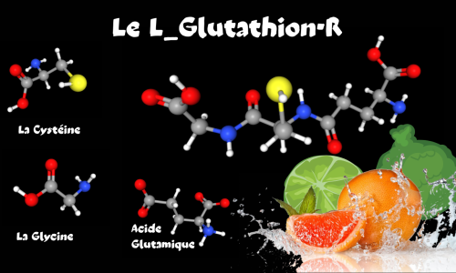 Le Glutathion