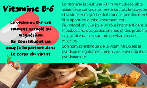 La vitamine B6-Pyridoxine