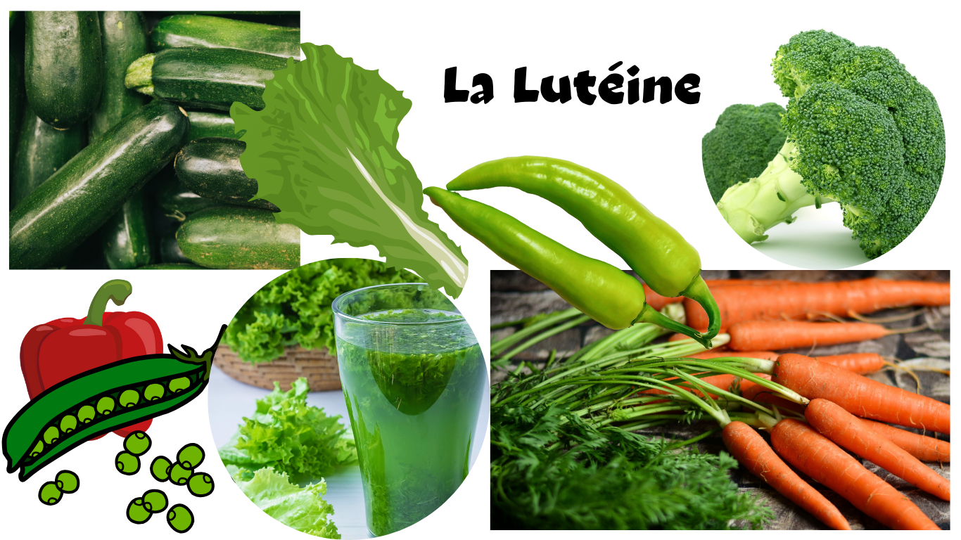 You are currently viewing La lutéine