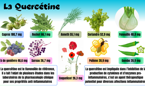 La Quercétine