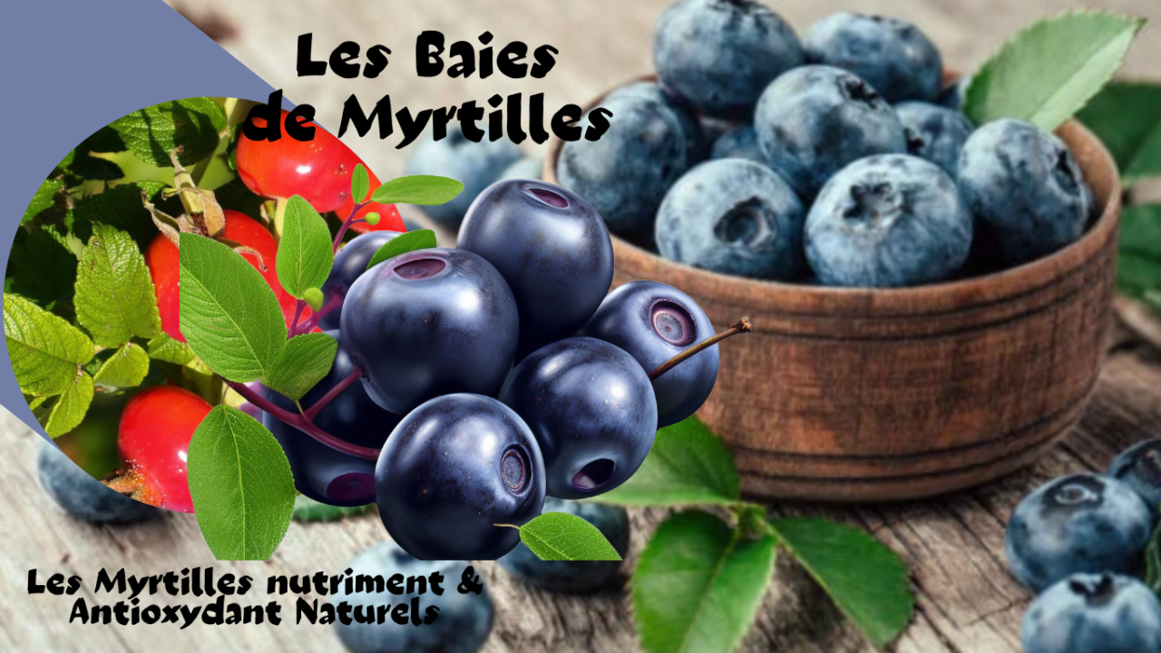 Le Myrtille