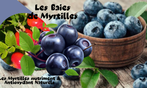 Le Myrtille