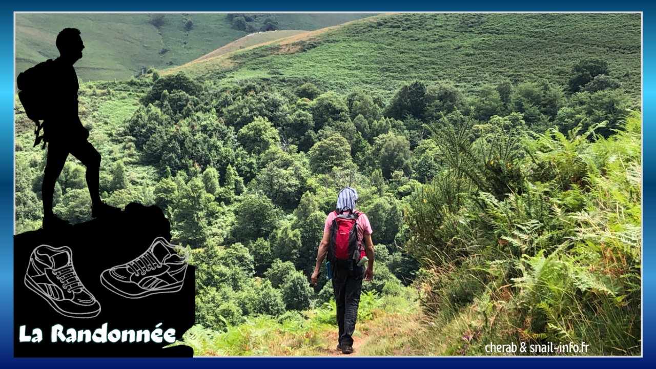 L&rsquo;Activité Physique