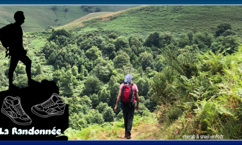 L&rsquo;Activité Physique