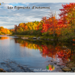 Pigments naturels des végétaux