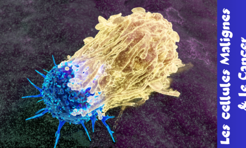 Les cellules Malignes