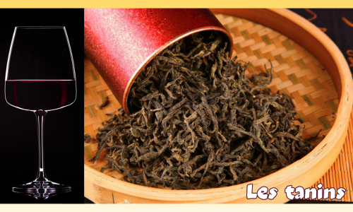 Les Tanins