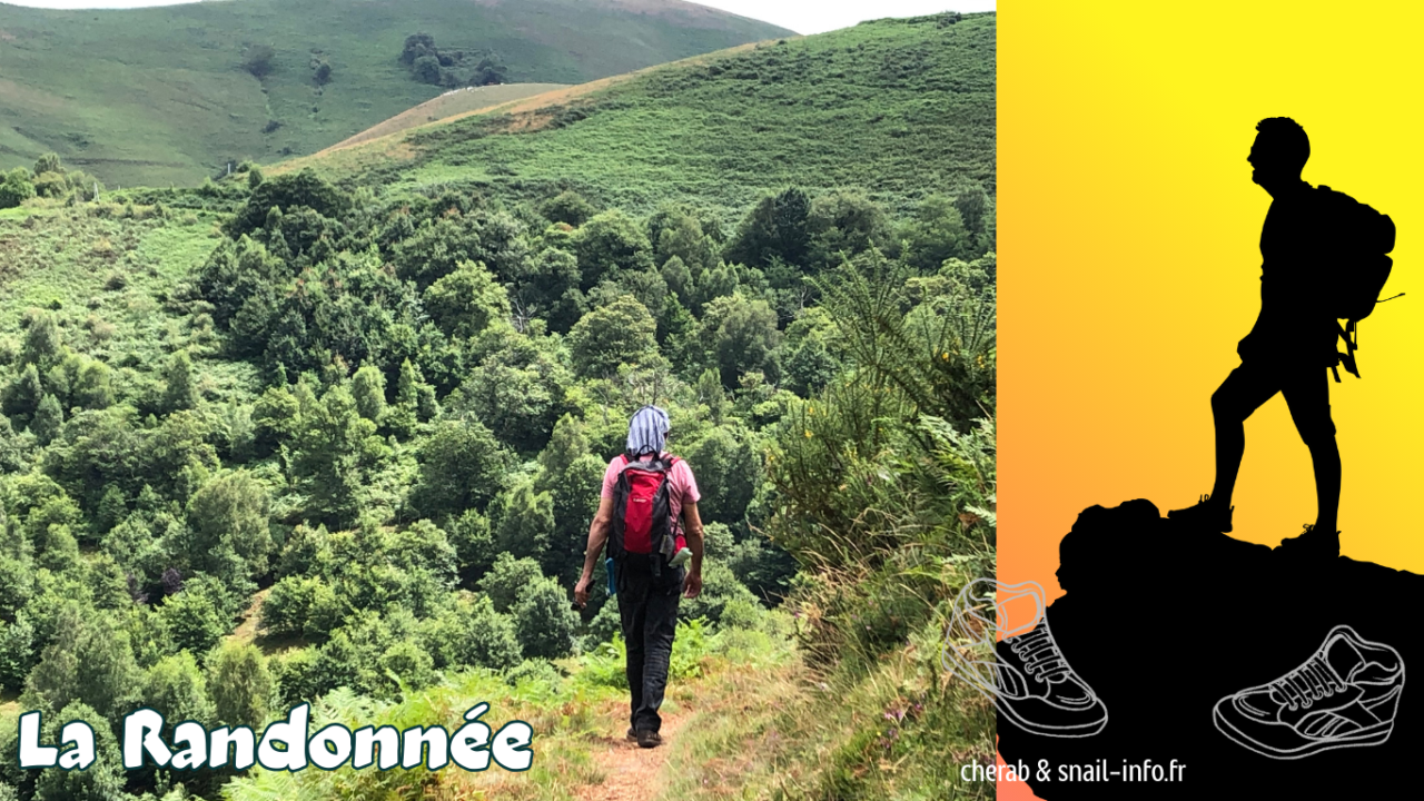 L&rsquo;Activité Physique