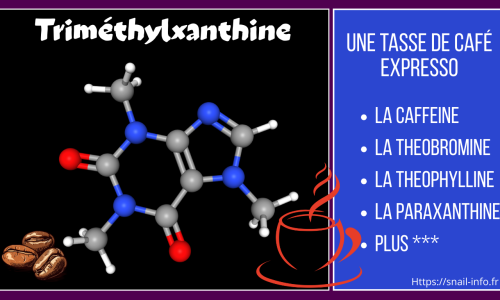 Diméthylxanthines (Caféine)