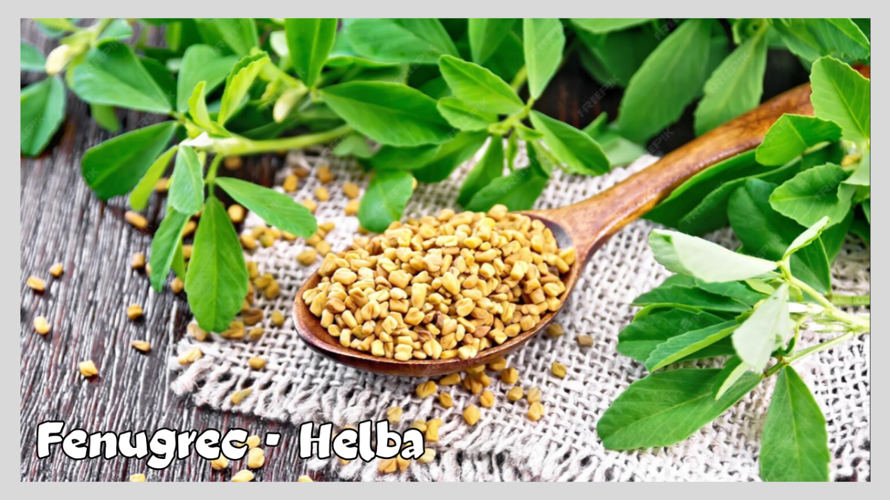 Fenugrec – حلبه -Hèlba