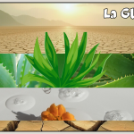 La glycation