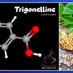 La trigonelline 