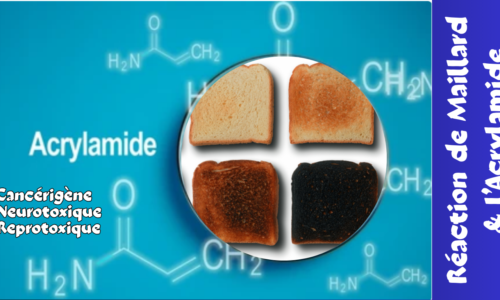 L&rsquo;Acrylamide
