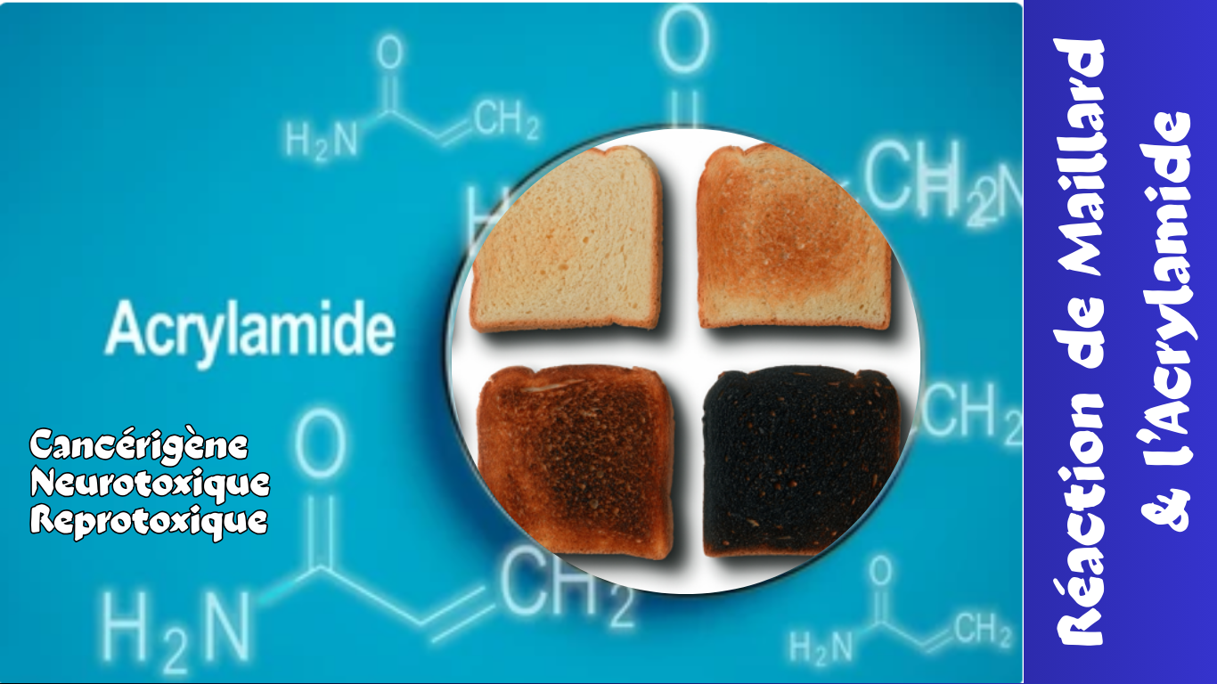 You are currently viewing L&rsquo;Acrylamide