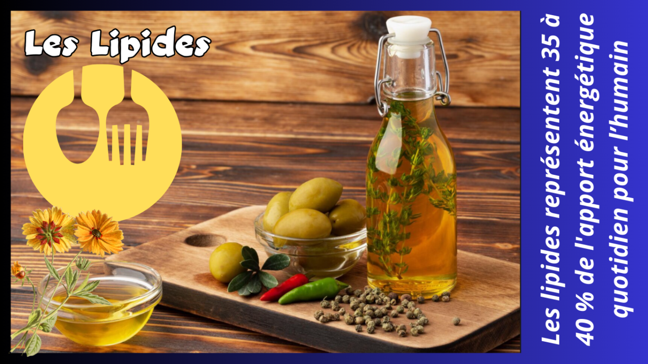 Les lipides