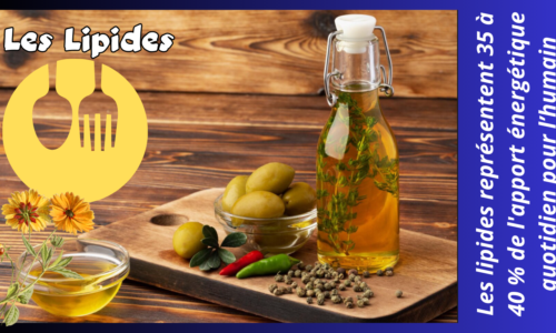 Les lipides